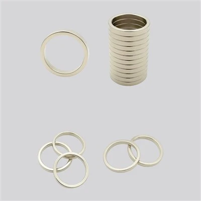 Ringmagneten met hoge dwangkracht